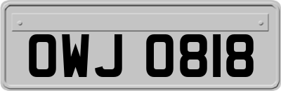OWJ0818