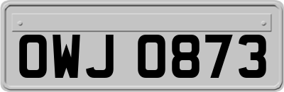 OWJ0873