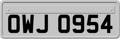 OWJ0954