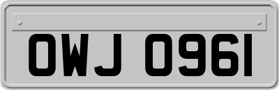 OWJ0961