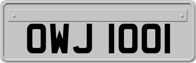 OWJ1001