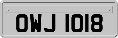 OWJ1018