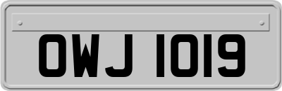 OWJ1019