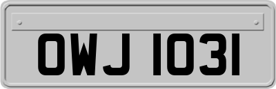 OWJ1031