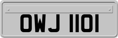 OWJ1101
