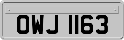 OWJ1163