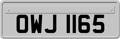 OWJ1165