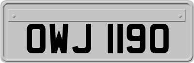 OWJ1190