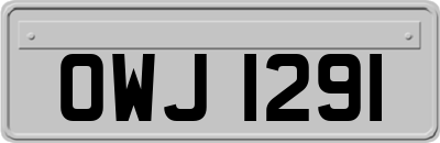 OWJ1291