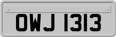 OWJ1313