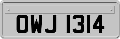 OWJ1314