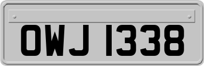 OWJ1338