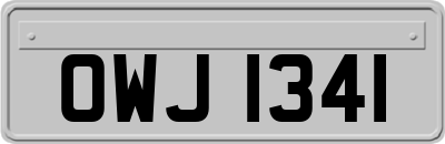 OWJ1341