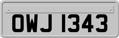 OWJ1343