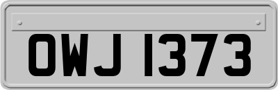 OWJ1373