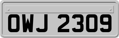 OWJ2309