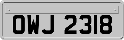 OWJ2318