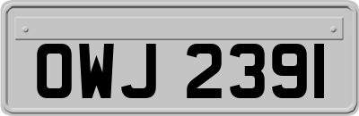 OWJ2391