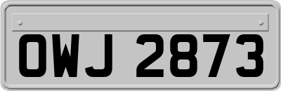 OWJ2873