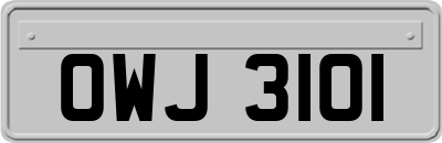 OWJ3101