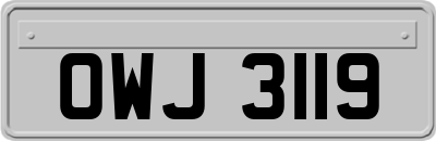 OWJ3119