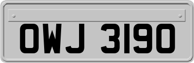 OWJ3190