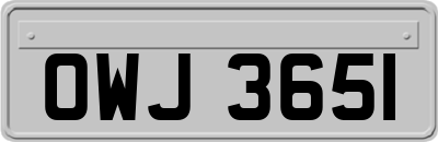 OWJ3651