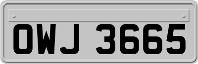 OWJ3665