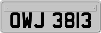 OWJ3813