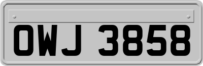 OWJ3858