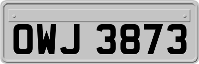 OWJ3873