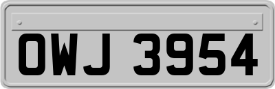 OWJ3954