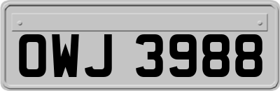OWJ3988