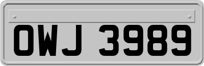 OWJ3989
