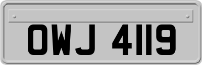 OWJ4119