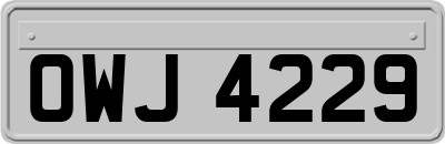 OWJ4229