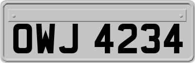 OWJ4234