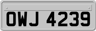 OWJ4239