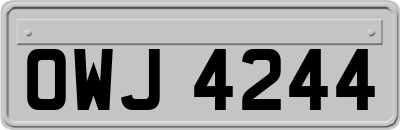 OWJ4244