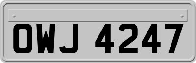 OWJ4247