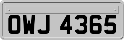 OWJ4365