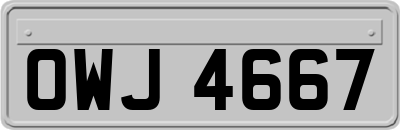 OWJ4667