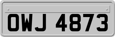 OWJ4873
