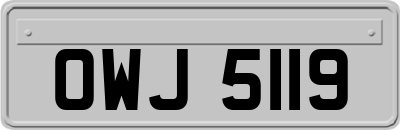 OWJ5119