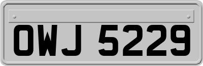 OWJ5229