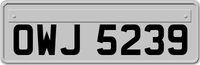 OWJ5239