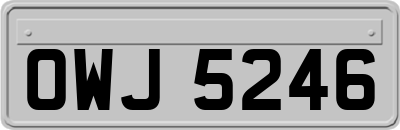 OWJ5246