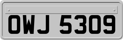 OWJ5309