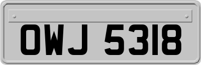 OWJ5318