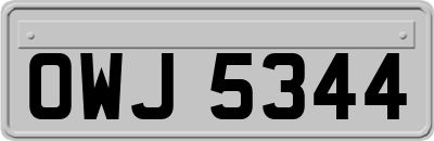 OWJ5344
